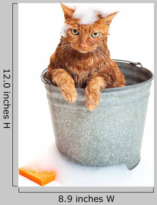 Bath Time for Wet Wall Decal