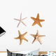 Starfish Wall Stickers Wall Decal