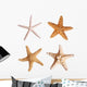 Starfish Wall Stickers Wall Decal