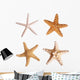 Starfish Wall Stickers Wall Decal