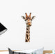 Funny Giraffe Face Wall Decal