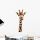 Funny Giraffe Face Wall Decal