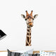 Funny Giraffe Face Wall Decal