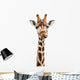 Funny Giraffe Face Wall Decal