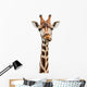 Funny Giraffe Face Wall Decal