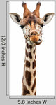 Funny Giraffe Face Wall Decal