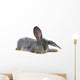 Grey Rabbit Wall Decal