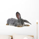 Grey Rabbit Wall Decal