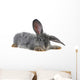 Grey Rabbit Wall Decal