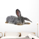 Grey Rabbit Wall Decal