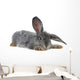 Grey Rabbit Wall Decal