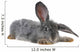 Grey Rabbit Wall Decal