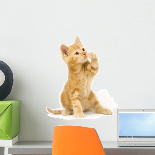 Yellow Cat Swinging Toy Wall Decal