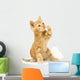 Yellow Cat Swinging Toy Wall Decal