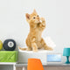 Yellow Cat Swinging Toy Wall Decal