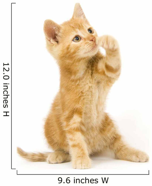 Yellow Cat Swinging Toy Wall Decal