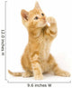 Yellow Cat Swinging Toy Wall Decal