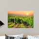 Green Vineyard South Moravia Wall Decal