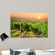 Green Vineyard South Moravia Wall Decal