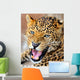 Roaring Leopard Wall Decal
