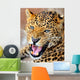 Roaring Leopard Wall Decal