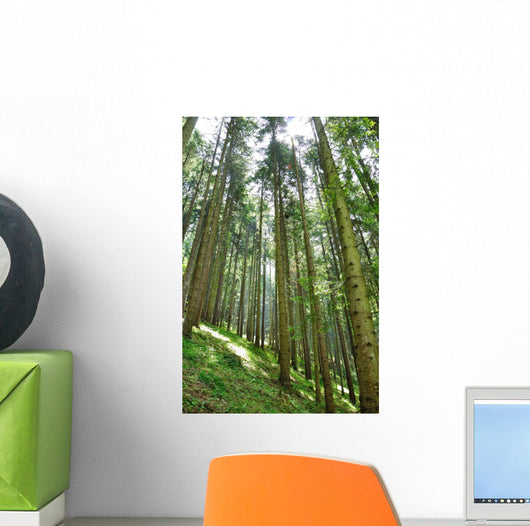 Green Forrest Wall Decal