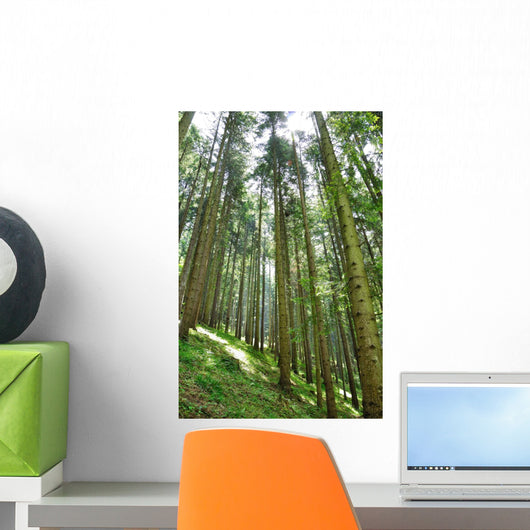 Green Forrest Wall Decal