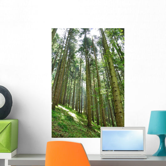 Green Forrest Wall Decal