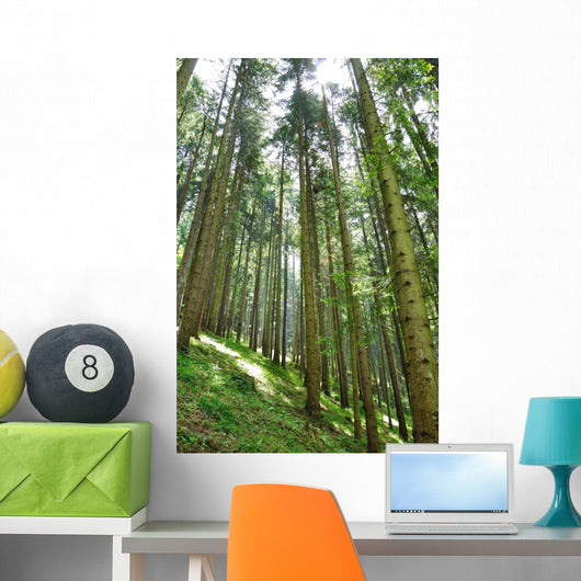 Green Forrest Wall Decal