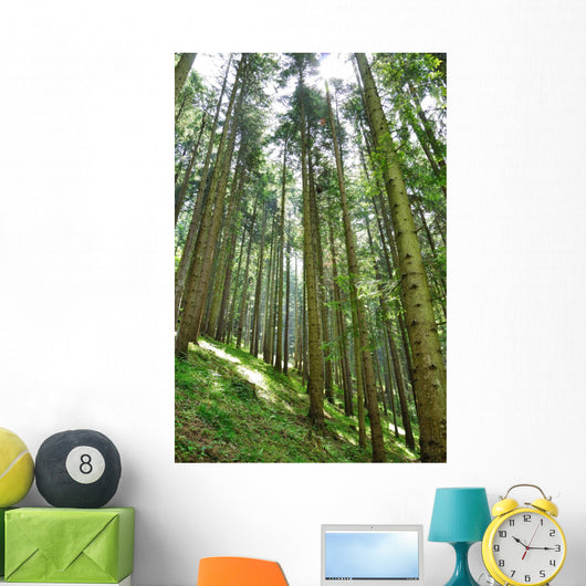 Green Forrest Wall Decal