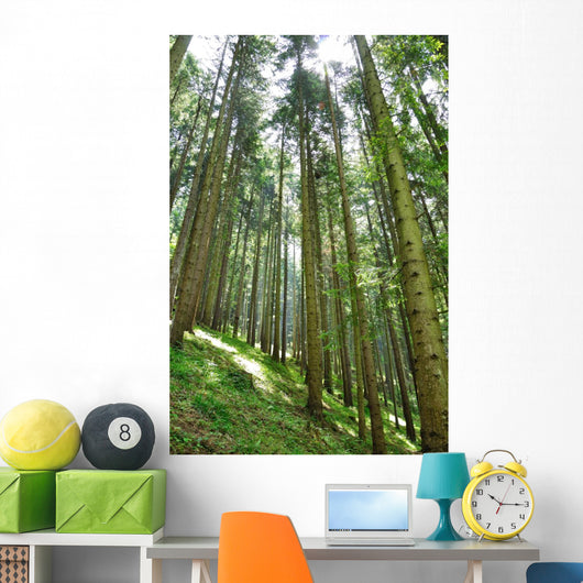Green Forrest Wall Decal