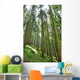 Green Forrest Wall Decal