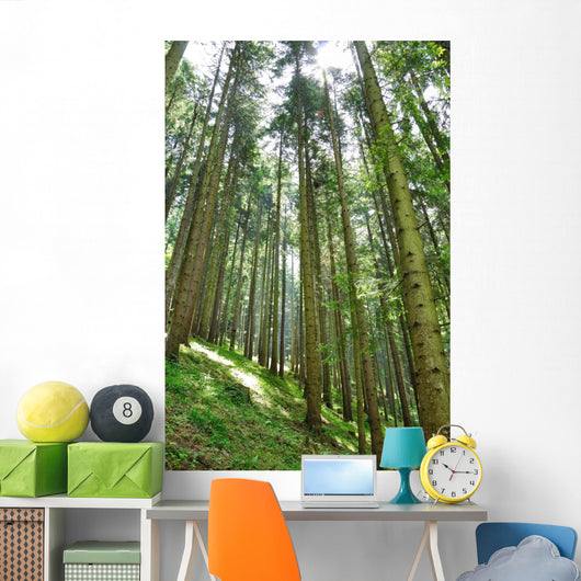 Green Forrest Wall Decal