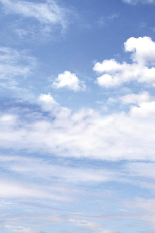 Lightly Clouded Sky - Vertical Wall Decal