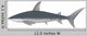 Shark White Wall Decal