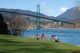 Spring Day Vancouver's Stanley Wall Decal
