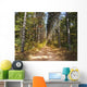 Path through Pine Trees Wall Decal