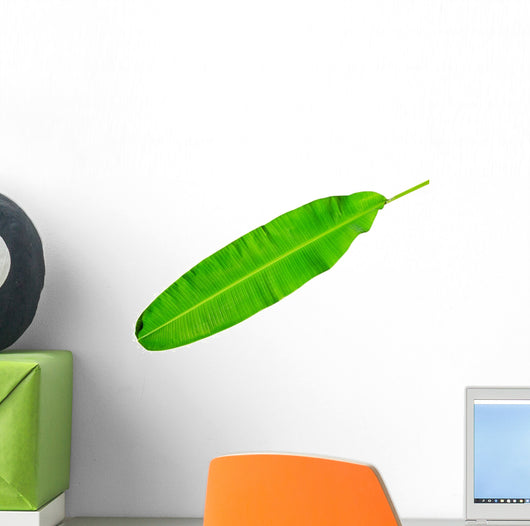 Green Fresh Banana Leaf Wall Decal