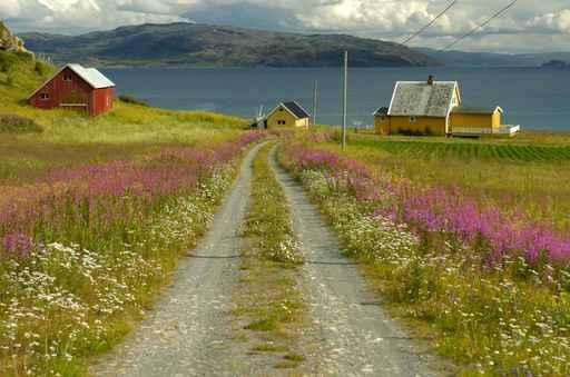 Scandinavia Landscape Wall Decal