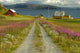 Scandinavia Landscape Wall Decal
