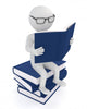 Read Worm Wall Decal