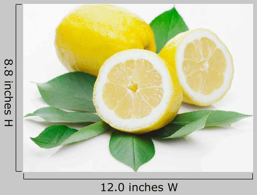 Lemon Wall Decal