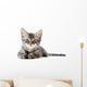 Little Kitten White Wall Decal
