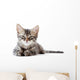 Little Kitten White Wall Decal