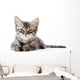 Little Kitten White Wall Decal