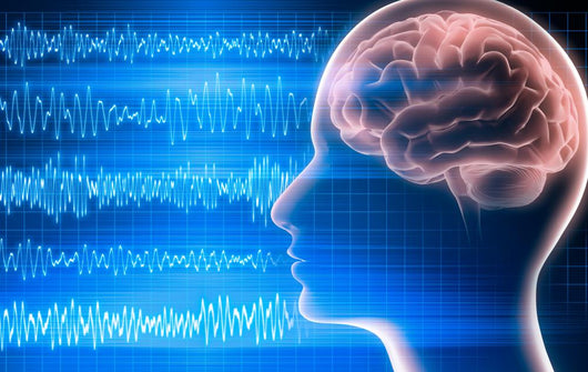 Eeg 3 Wall Decal