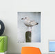 Mouette Wall Decal
