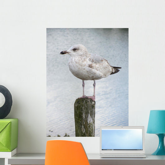 Mouette Wall Decal
