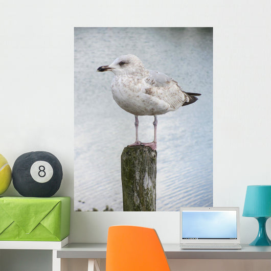 Mouette Wall Decal
