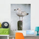 Mouette Wall Decal